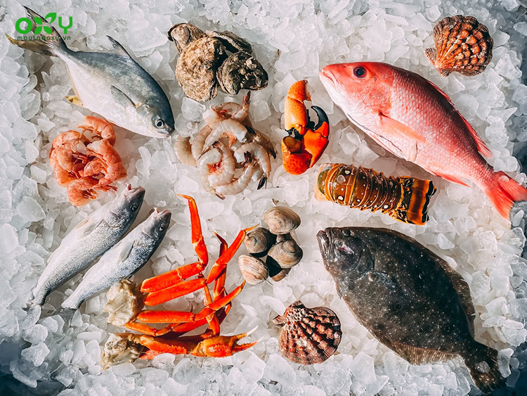 Khi bị ho không nên ăn gì? Bạn không nên ăn hải sản như tôm, mực, cá, cua, ốc