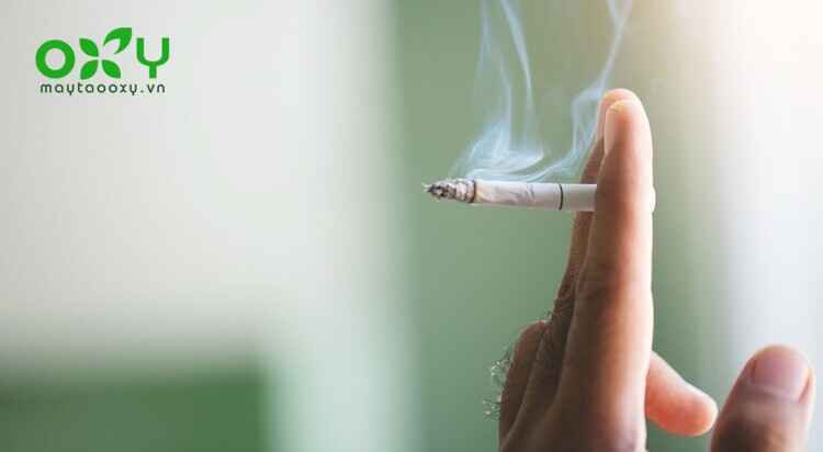 Hợp chất hữu cơ dễ bay hơi có nhiều trong khói thuốc lá