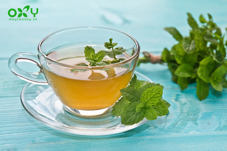 Bị viêm xoang nên uống nước gì? Uống trà bạc hà giúp người bệnh bớt đau đầu và thông mũi