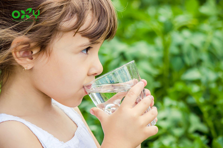 Ba mẹ cho bé uống nhiều nước giúp loại bỏ chất nhầy dư thừa gây ho