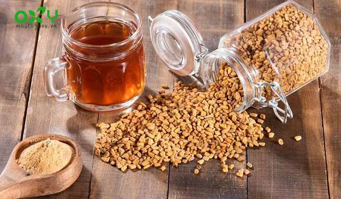 Cách chữa viêm phế quản bằng mật ong, hạt cỏ cà ri và gừng