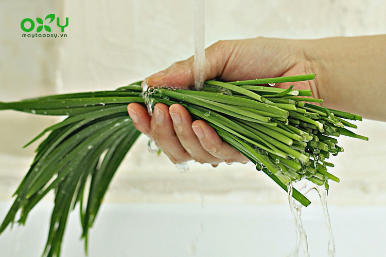 Luôn chọn lá hẹ tươi và rửa sạch trước khi chế biến để bảo vệ sức khỏe khi dùng lá hẹ trị ho