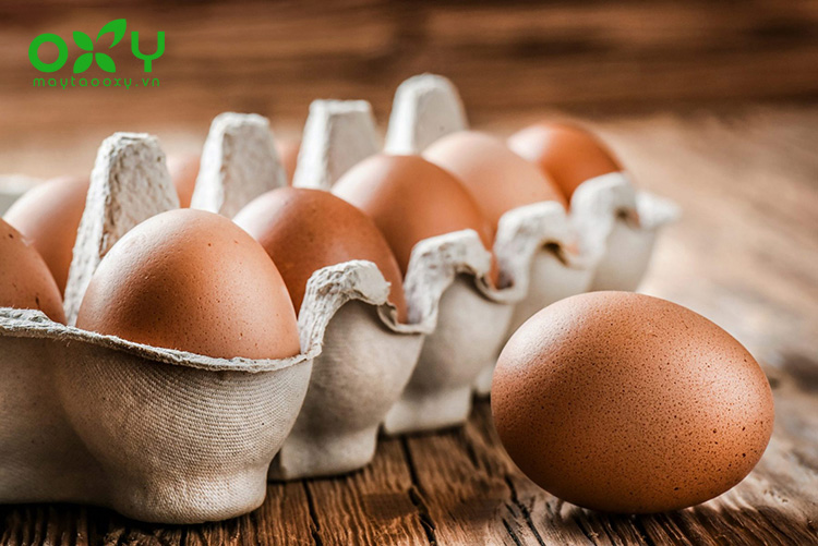 Vết thương hở ăn trứng được không? Bạn nên tránh ăn trứng gà