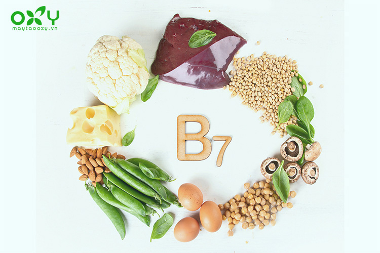 Vitamin B7 đóng vai trò quan trọng giúp tóc, da móng khỏe mạnh